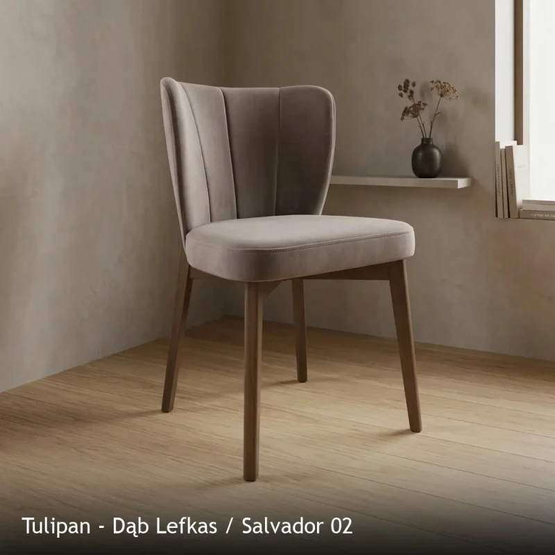Tulipan - Dąb Lefkas - Salvador 02