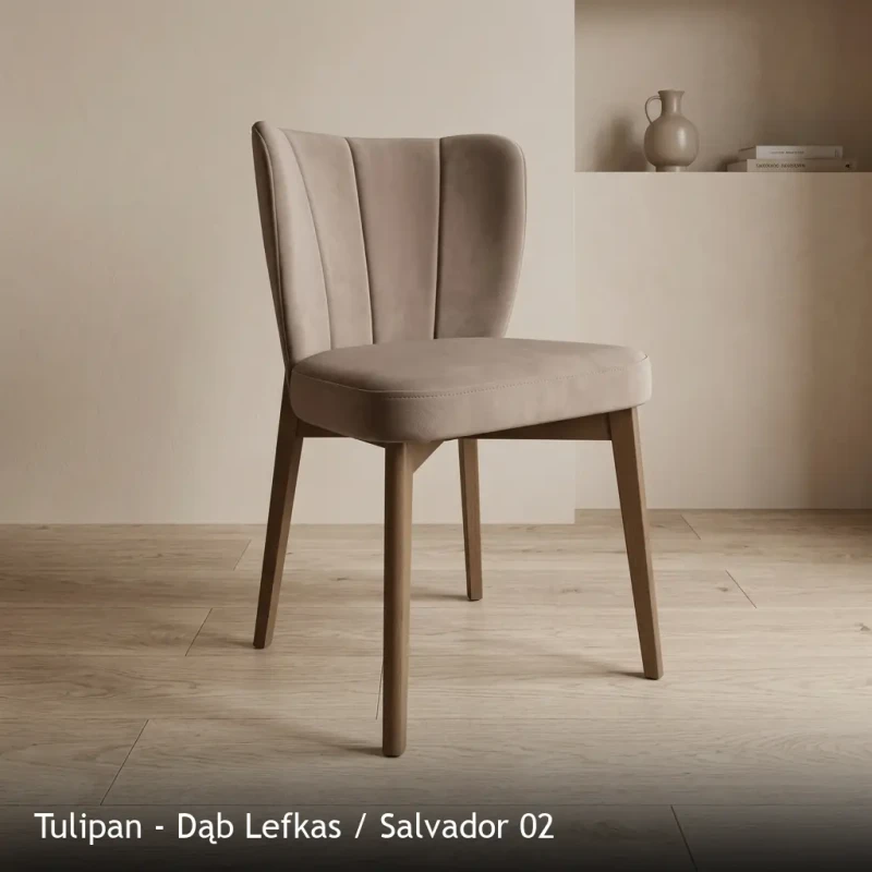 Tulipan - Dąb Lefkas - Salvador 02