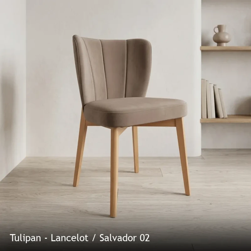 Tulipan - Lancelot - Salvador 02