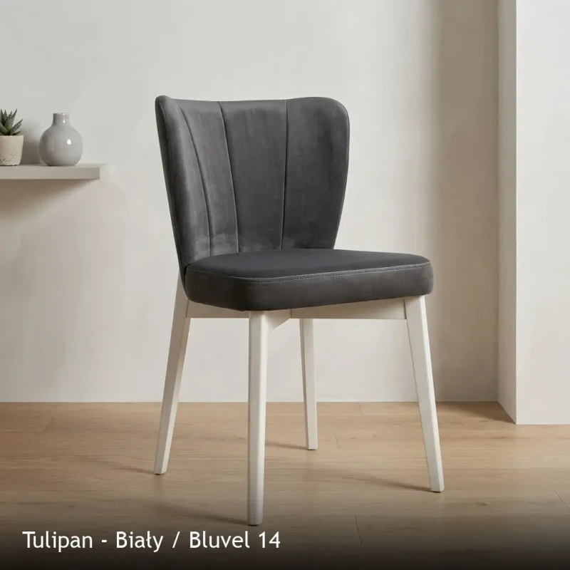 Tulipan - Biały - Bluvel 14