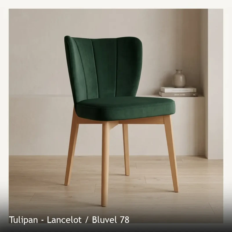 Tulipan - Lancelot - Bluvel 78