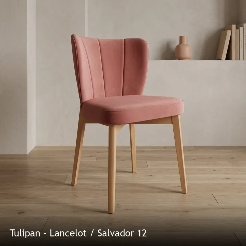 Tulipan - Lancelot - Salvador 12