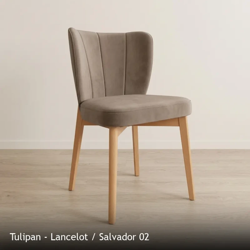 Tulipan - Lancelot - Salvador 02