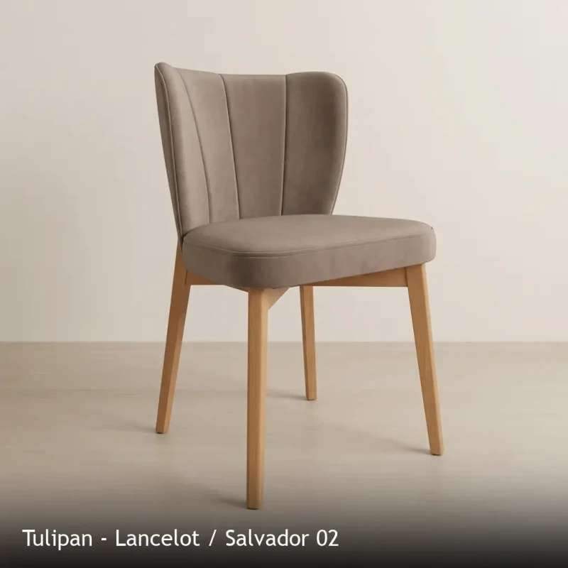 Tulipan - Lancelot - Salvador 02