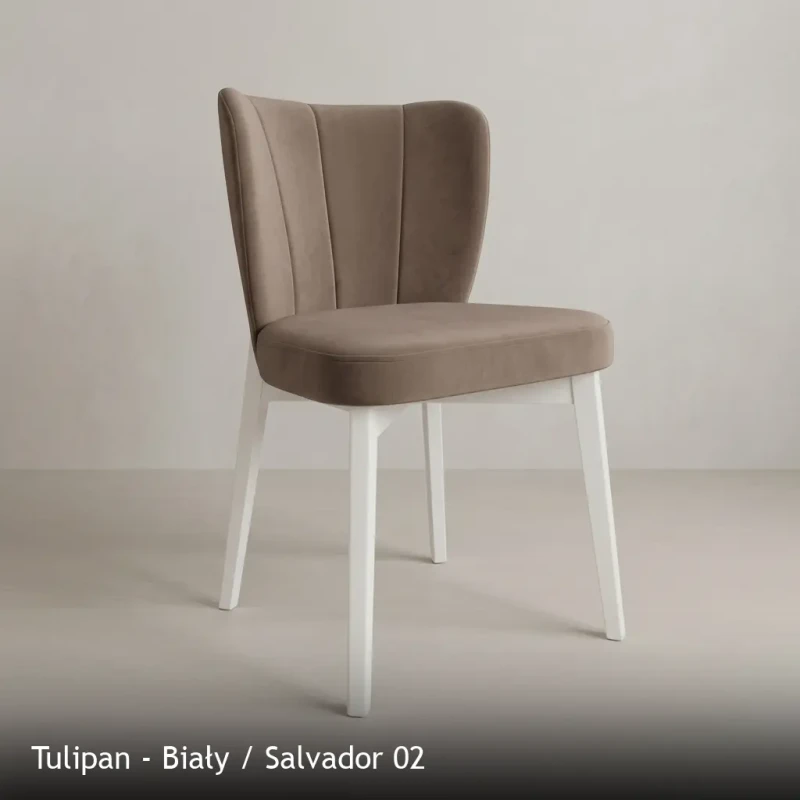 Tulipan - Biały - Salvador 02