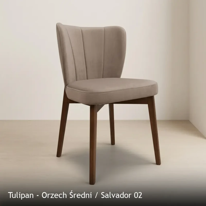 Tulipan - Orzech Średni - Salvador 02