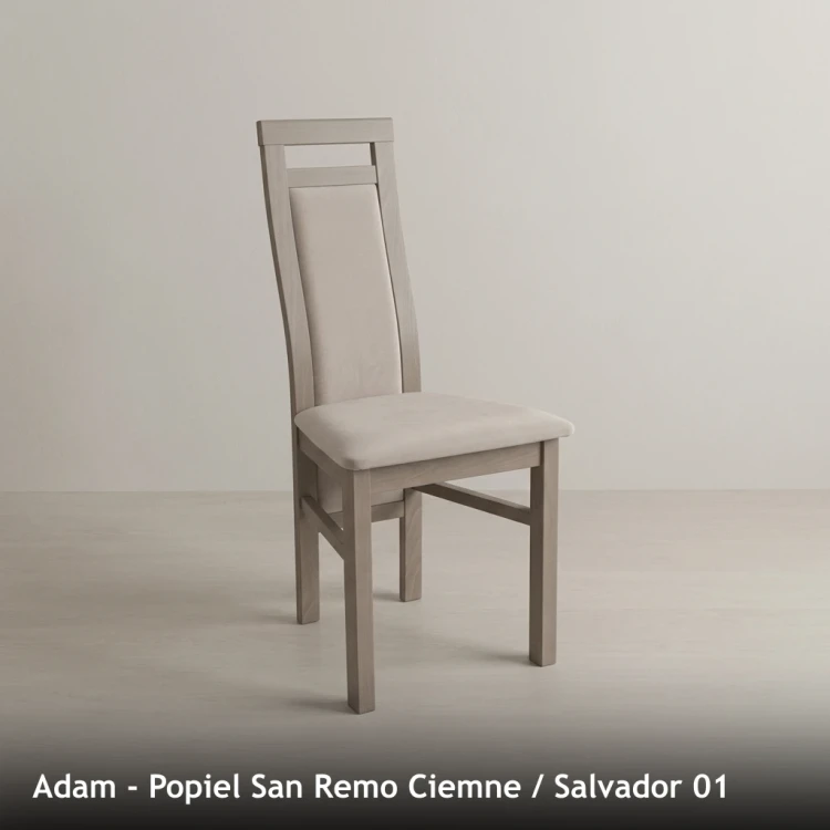 ADAM - stelaż Popiel San Remo Ciemne, tkanina Salvador 01