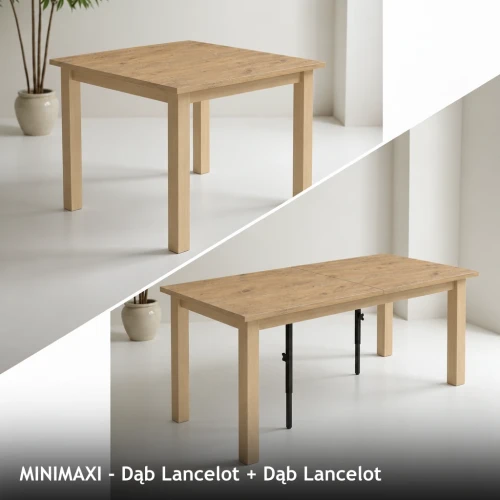 MINIMAXI - Dąb Lancelot + Dąb Lancelot