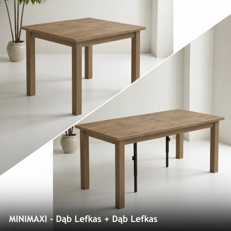 MINIMAXI - Dąb Lefkas + Dąb Lefkas